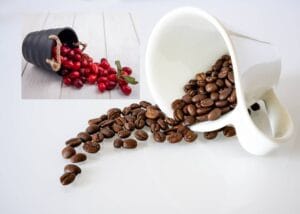 coffee cheries and roasted coffee beans in cups amid what are coffee beans