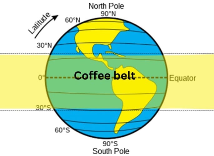 FromCoffeecherriestoCoffeebeans 2 2 1024x731 1