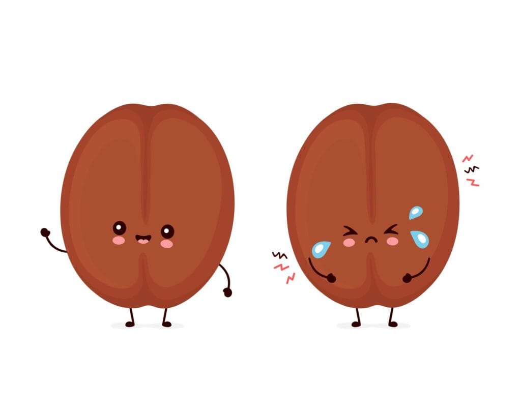 good coffee bean vs bad coffee bean