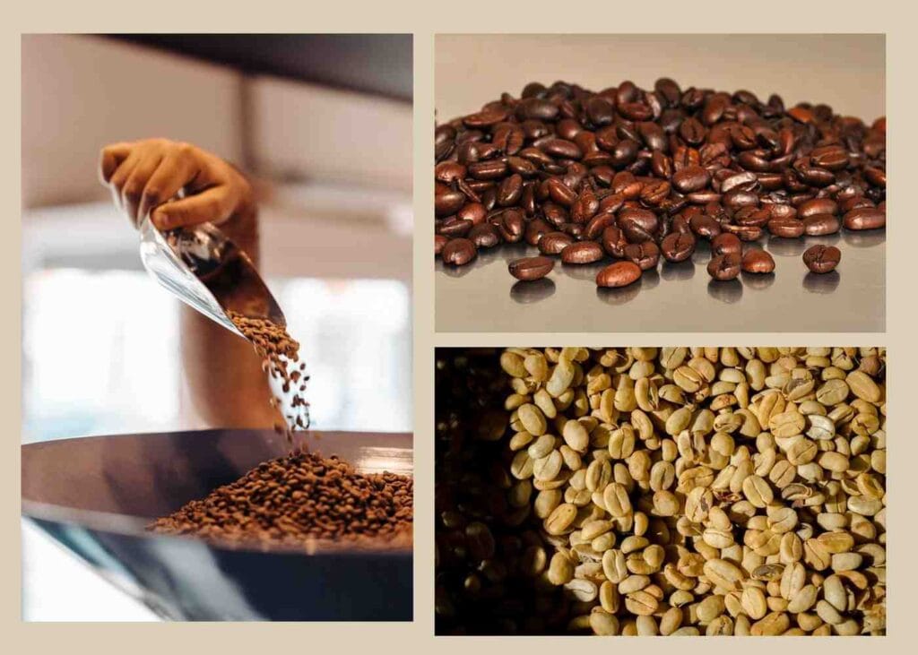light roasted and dark roasted coffee beans