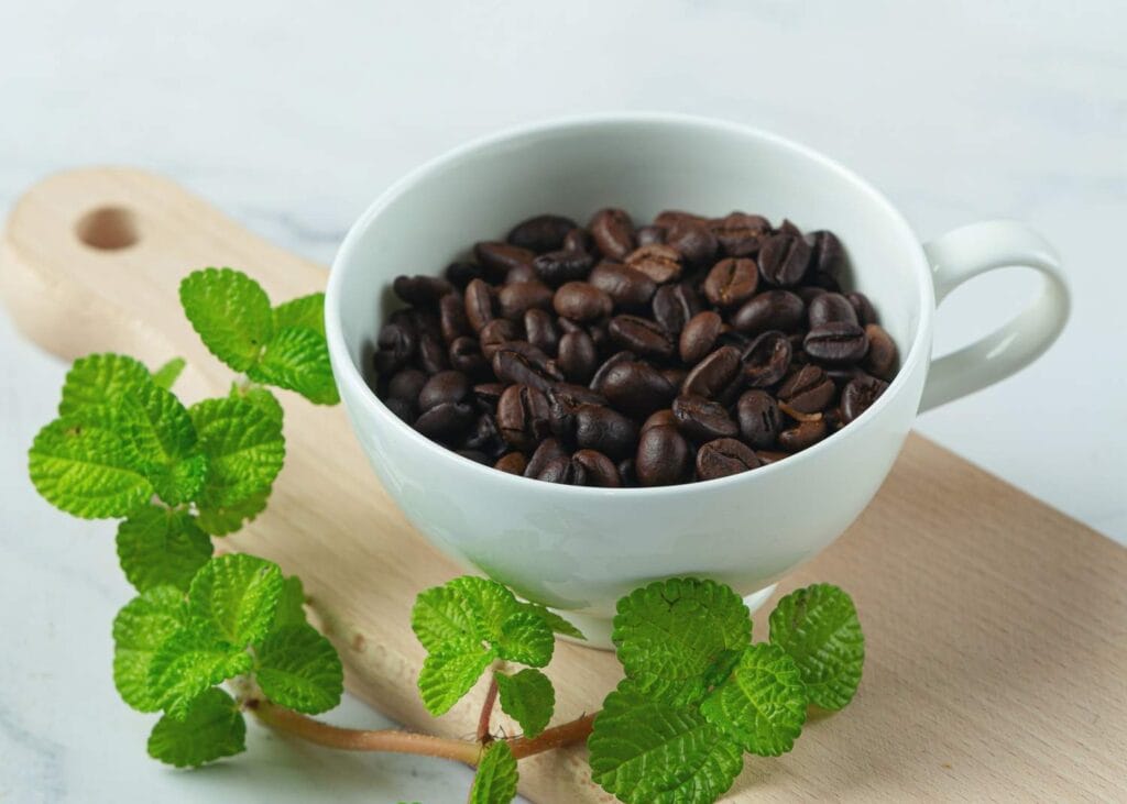 Roasted coffee beans in white cup with mint